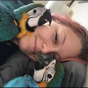 Meet your Posher, Angel